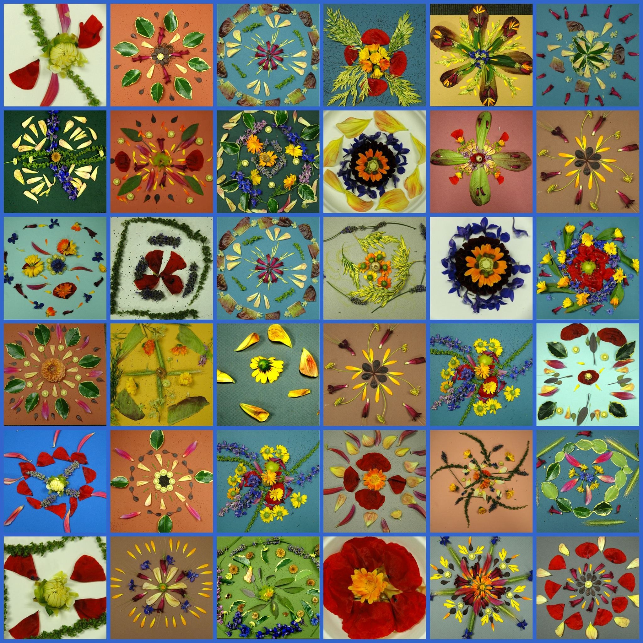 Images of many types of flower petals shaped into various patterns