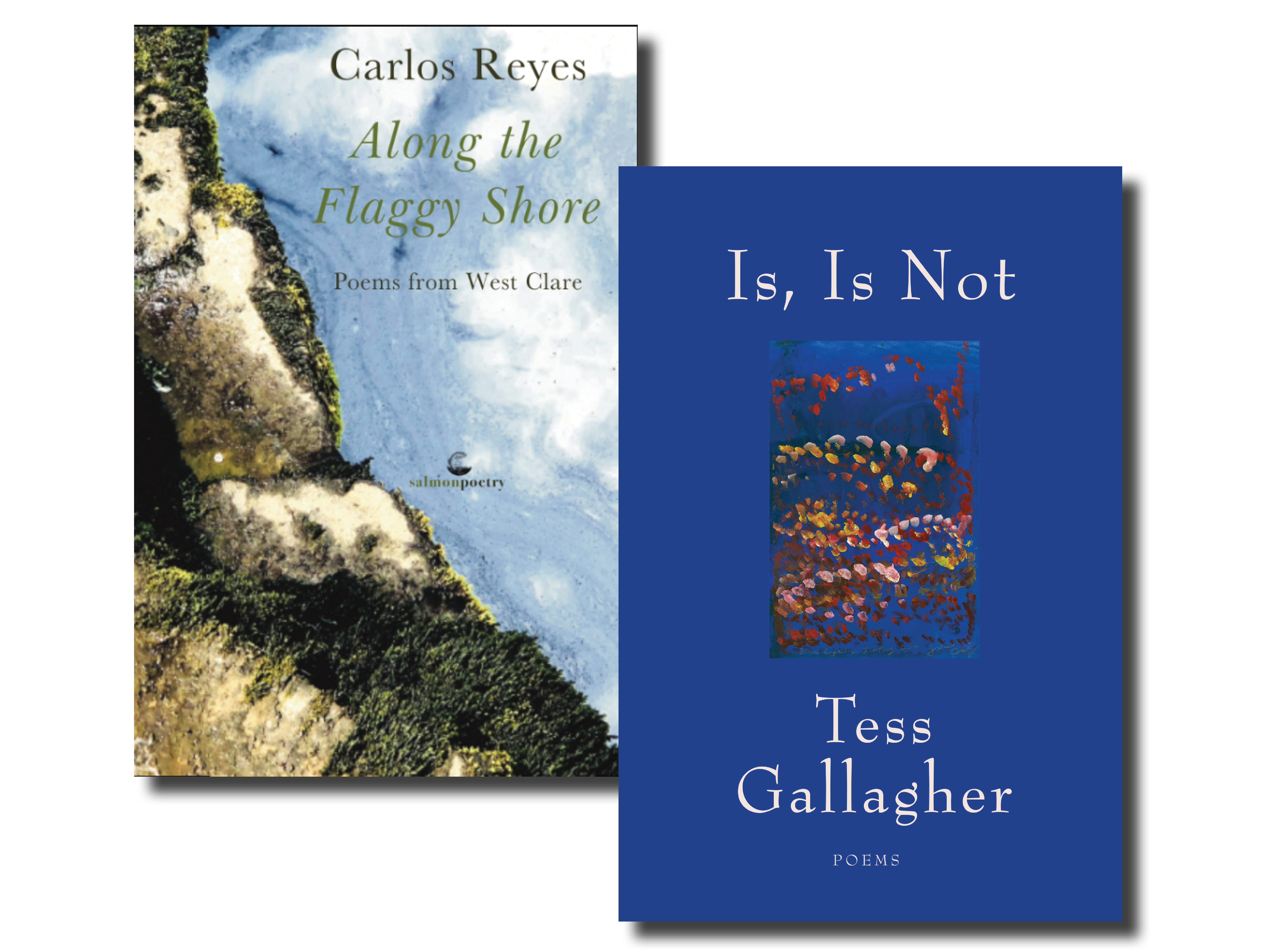 Two poetry books written by Tess Gallagher and Carlos Reyes