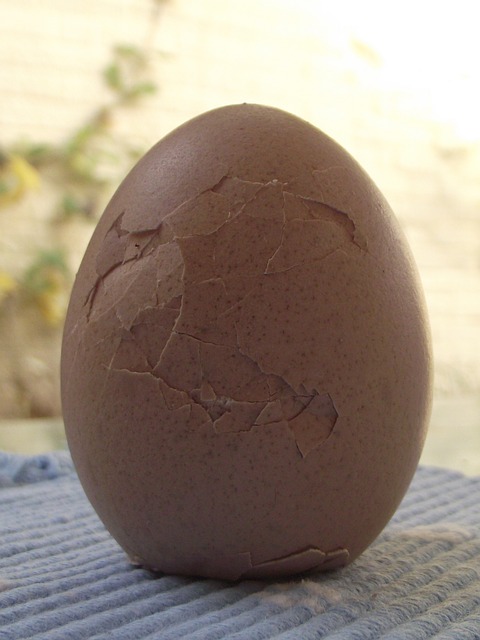 Cracked brown egg