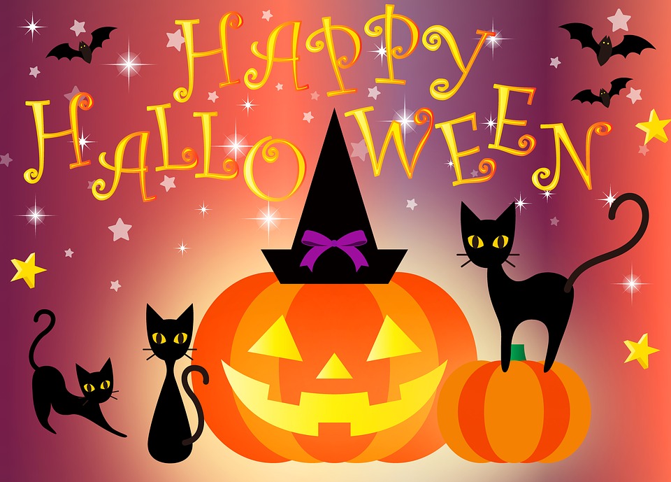 Happy Halloween with black cats and pumpkins
