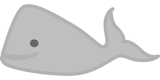 Image of a whale cartoon