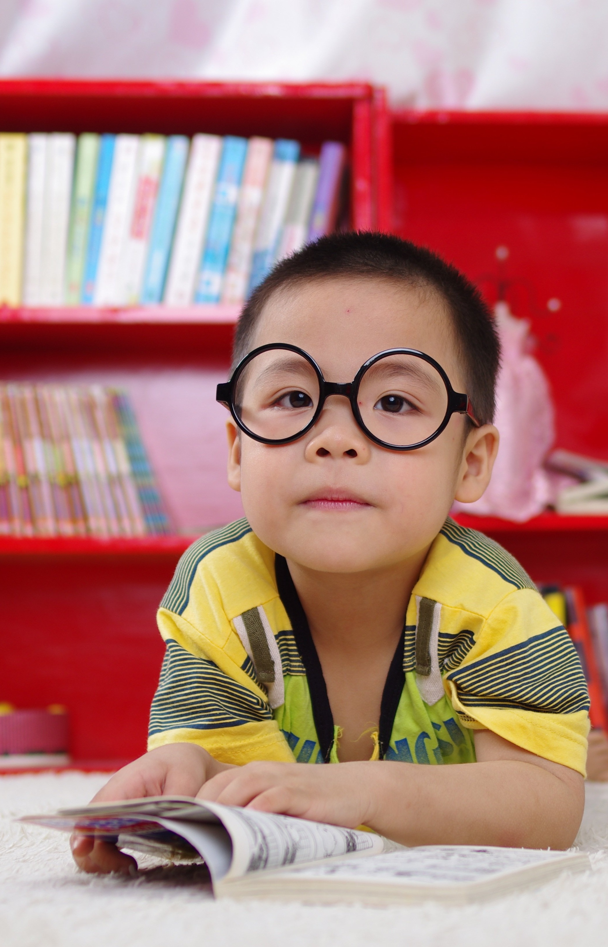 Adorable boy with glasses reading a book.