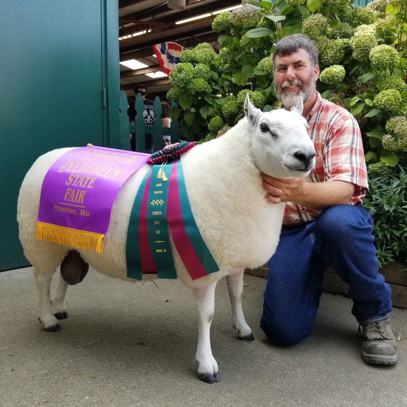 Fiber Artist Dean Hyden with one of his Prize-WInning Sheep.