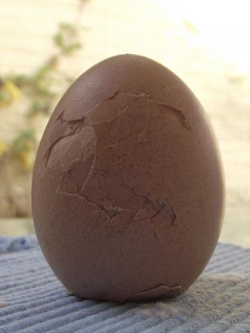 Cracked brown egg