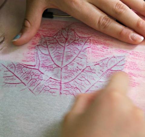 Textured Rubbing of a Maple Leaf