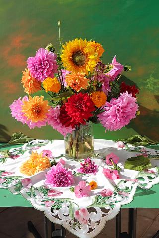 a vase full of colorful dahlias