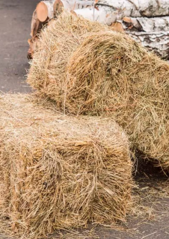 straw bales