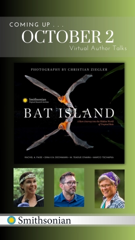 Live Online: A Journey into the Hidden World of Tropical Bats with Scientists from the Smithsonian Tropical Research Institute