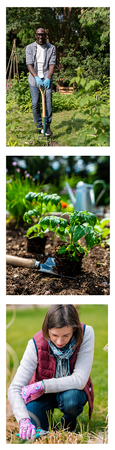 trio of garden and gardening photos