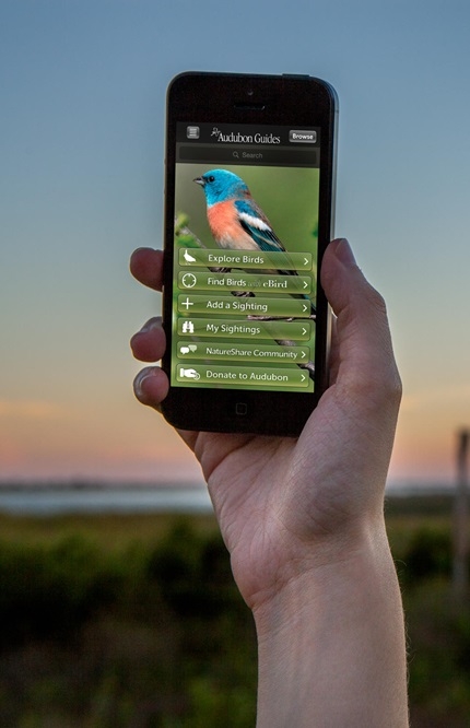 Hand holding a mobile device using a birding app.